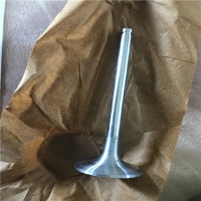 WL / EX / E2500 / B2500 ডিজেল ইঞ্জিন ইনটেক এবং এক্সহাল ভালভ ই এম ডাব্লু 01-12-121