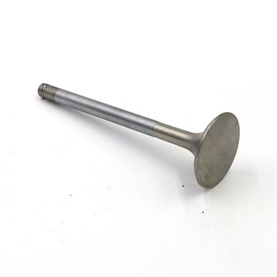 WL / EX / E2500 / B2500 ডিজেল ইঞ্জিন ইনটেক এবং এক্সহাল ভালভ ই এম ডাব্লু 01-12-121