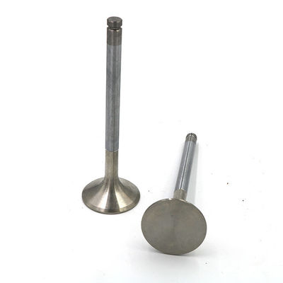 WL / EX / E2500 / B2500 ডিজেল ইঞ্জিন ইনটেক এবং এক্সহাল ভালভ ই এম ডাব্লু 01-12-121